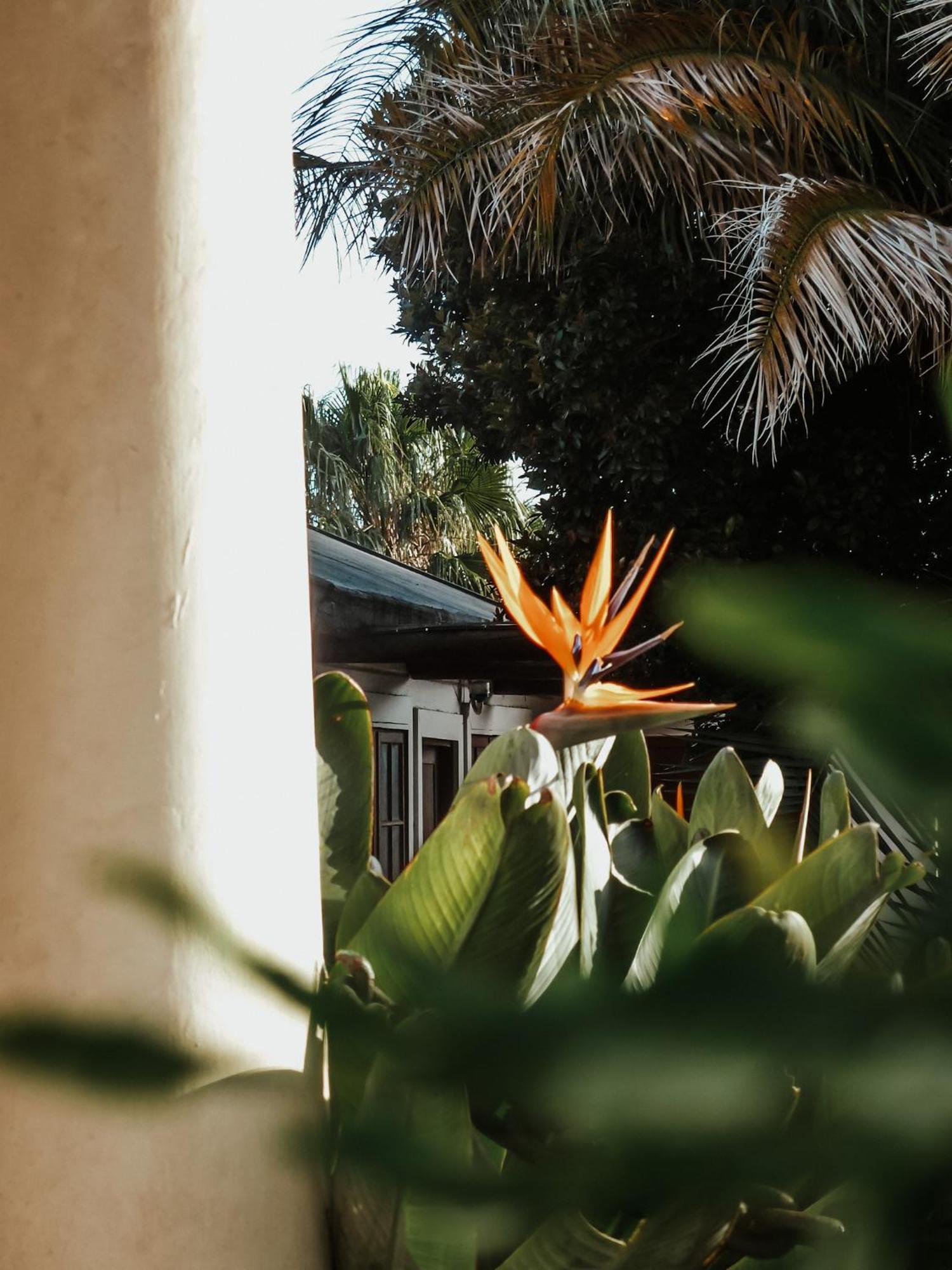 King George'S Guest House พอร์ตเอลิซาเบธ ภายนอก รูปภาพ